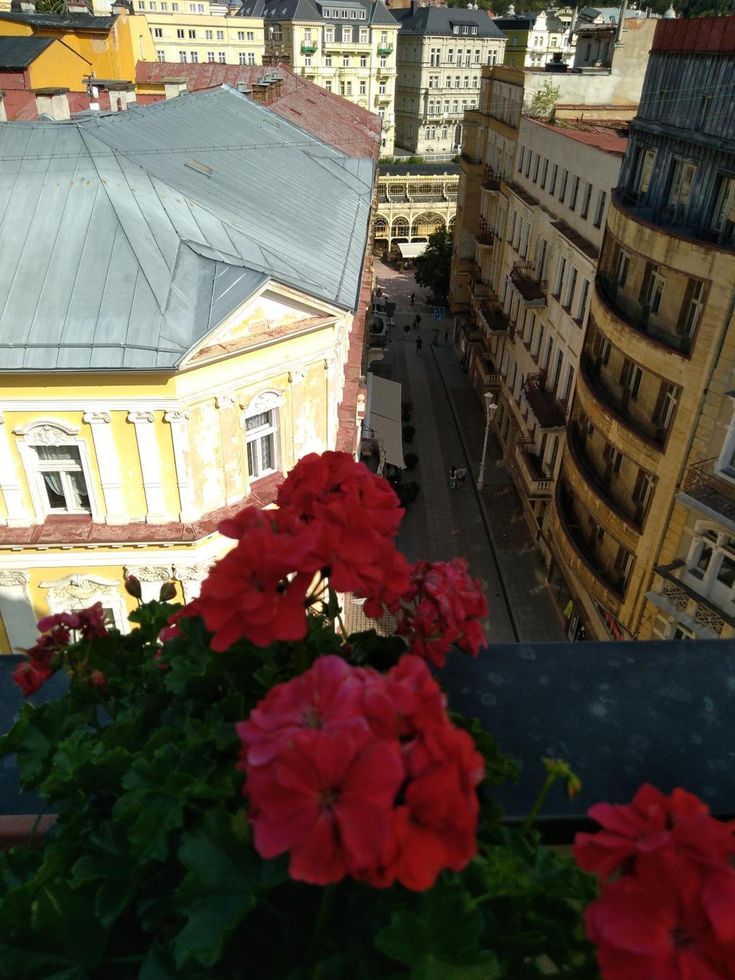 Hotel Flora 3*